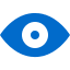 Lazy Eye (Amblyopia) icon